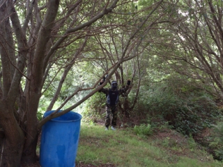  Il giocatore alza le mani 